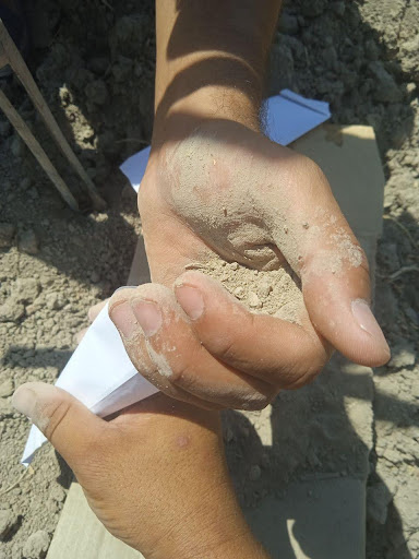 Drainage Network in Agricultural Field